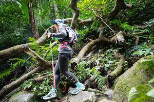 BIB: 
                            <button type="button" onclick="openModal(19407912)" class="btn btn-primary btn-sm float-right btn-popup" data-toggle="modal" data-target=".modal-high-quality">
                        <i class="fas fa-shopping-cart"></i> Add to Cart
                    </button>
                                            <button type="button" onclick="isThisMe(19407912, true)" class="btn btn-success btn-sm float-right btn-popup btn-isme hidden" data-toggle="tooltip" data-placement="bottom" title="นี่คือรูปของคุณใช่ไหม คลิกที่นี่เพื่อเอาเข้าอัลบั้ม">
                        <i class="fas fa-plus"></i> Add to album
                    </button>
                    <button type="button" onclick="isThisMe(19407912, false)" class="btn btn-warning btn-sm float-right btn-popup btn-isnotme hidden">
                        <i class="fas fa-ban"></i> Remove from album
                    </button>